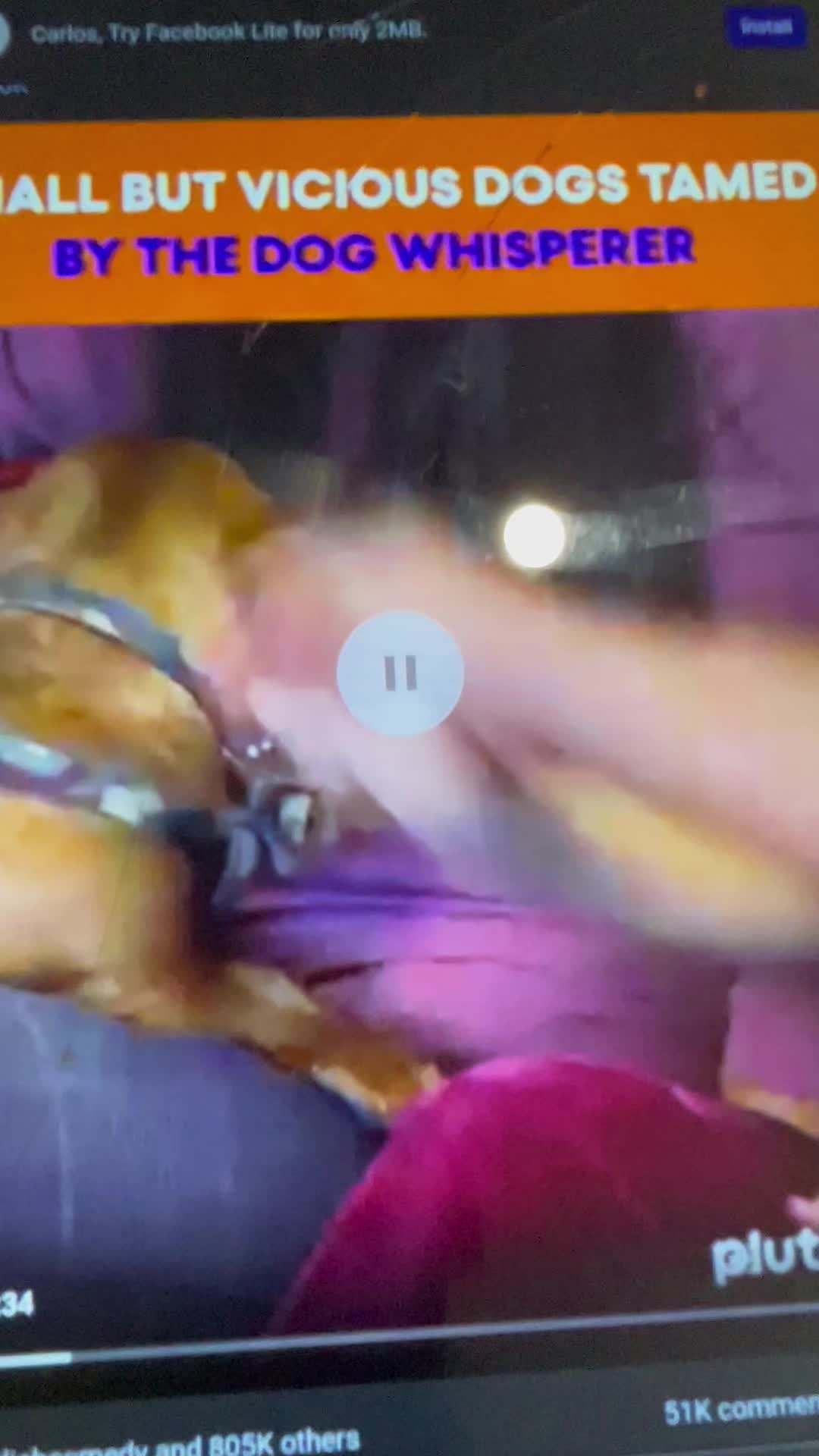 @blackshawntv