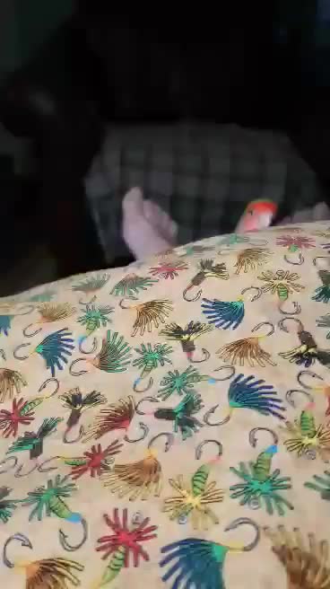 @mamarebmocam🌻