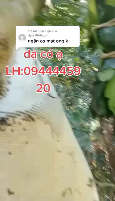 @Ng&acirc;n An Y&ecirc;n
