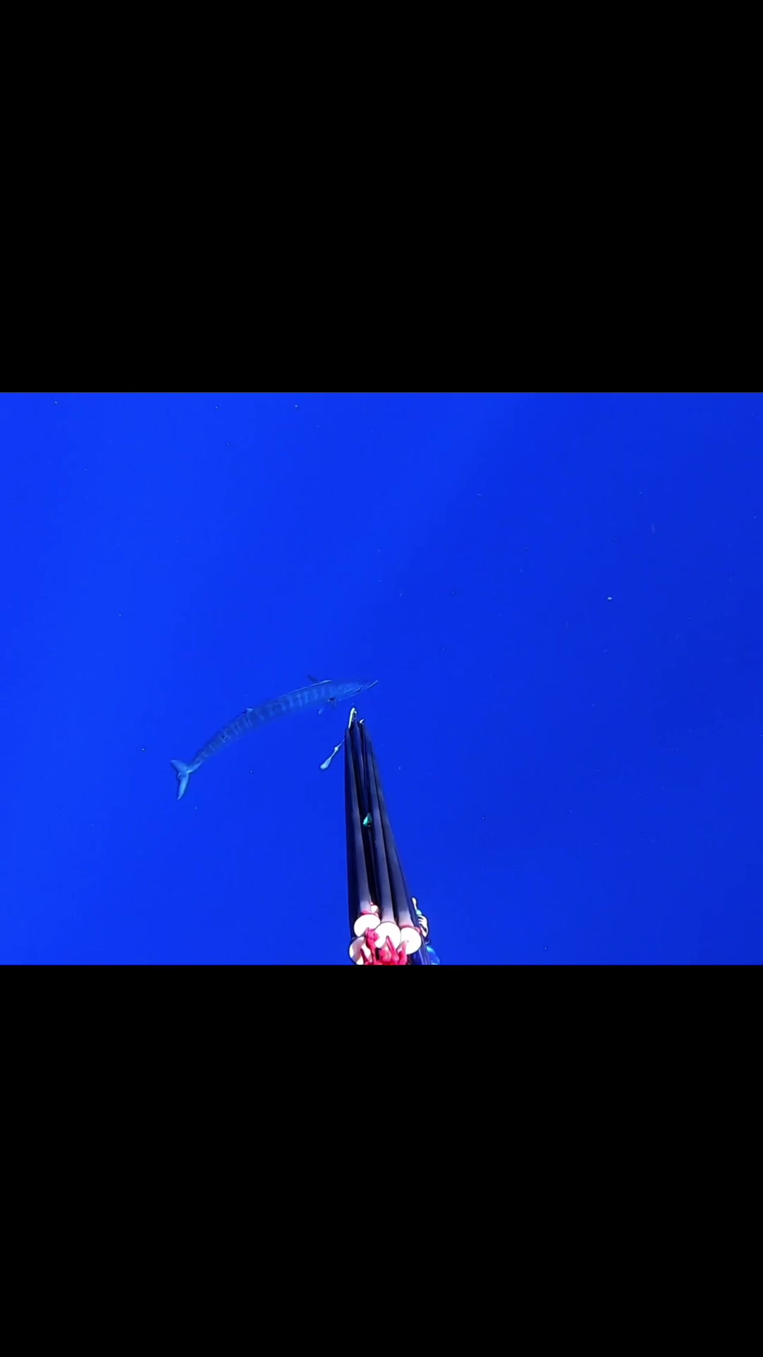@kairosspearfishing