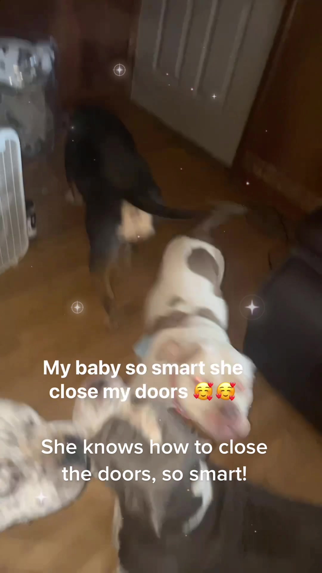 @BULLYFARM
