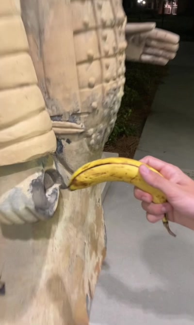 @Banana Bandits