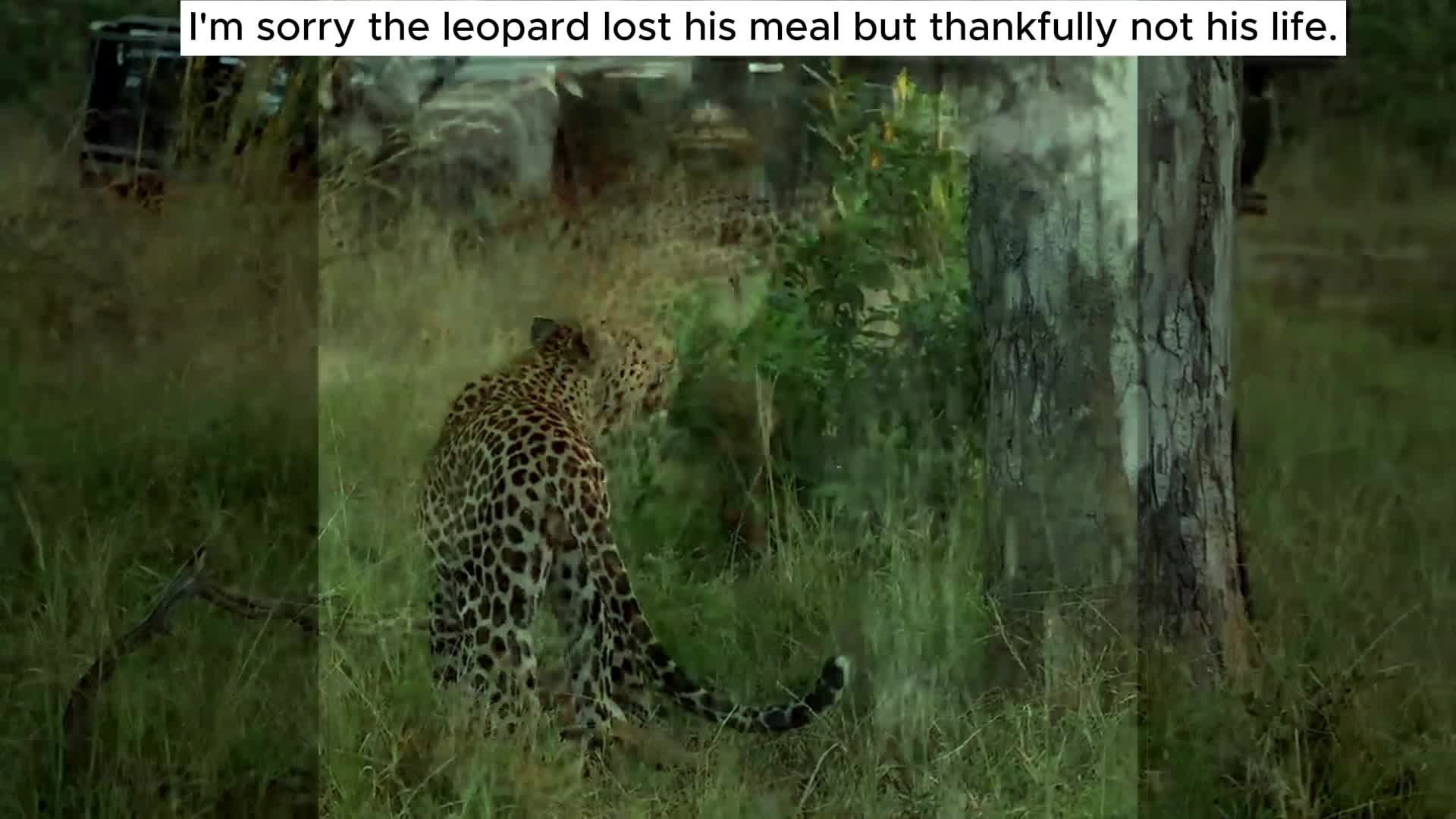 @Planet Earth
