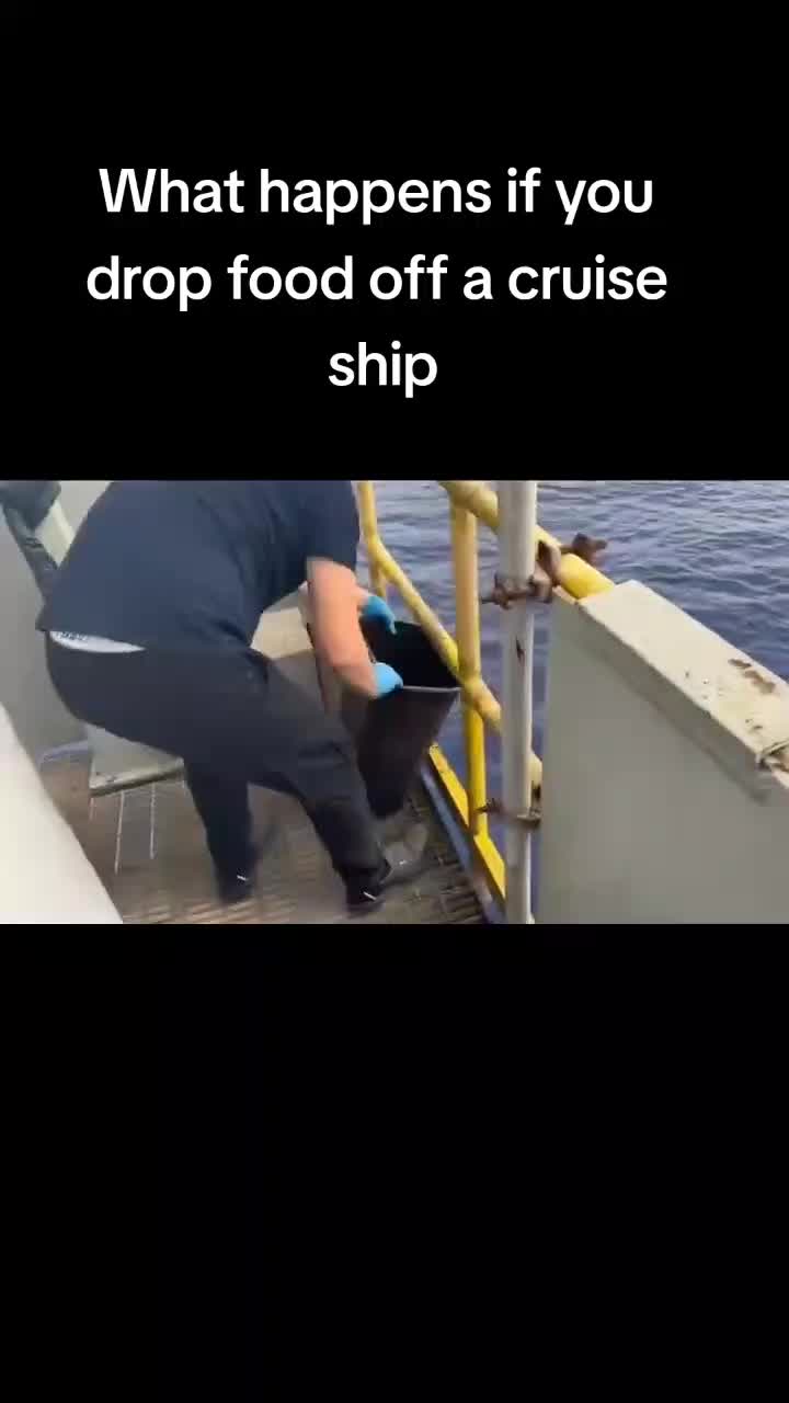@Slothmymango