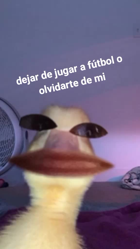 @Dayre