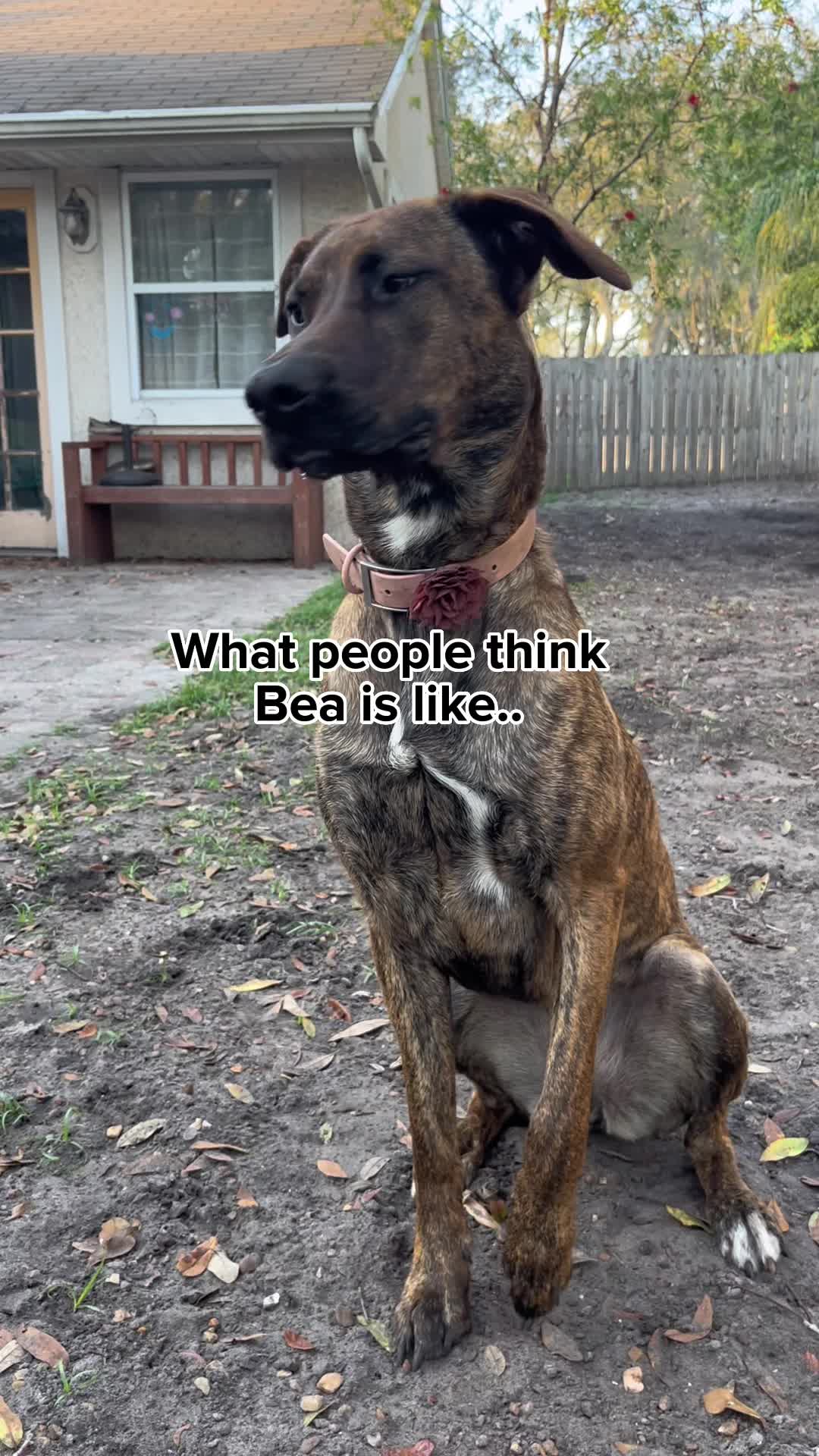 @Bea