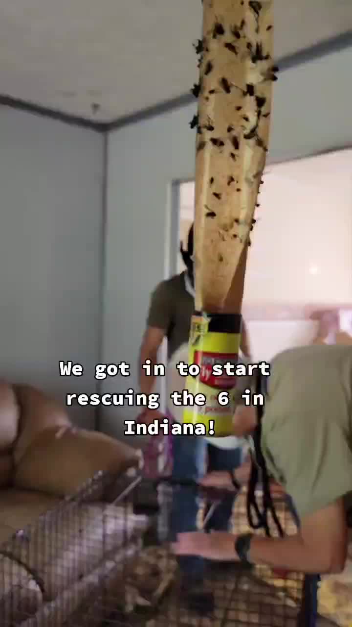 @Pack 22 Alpha