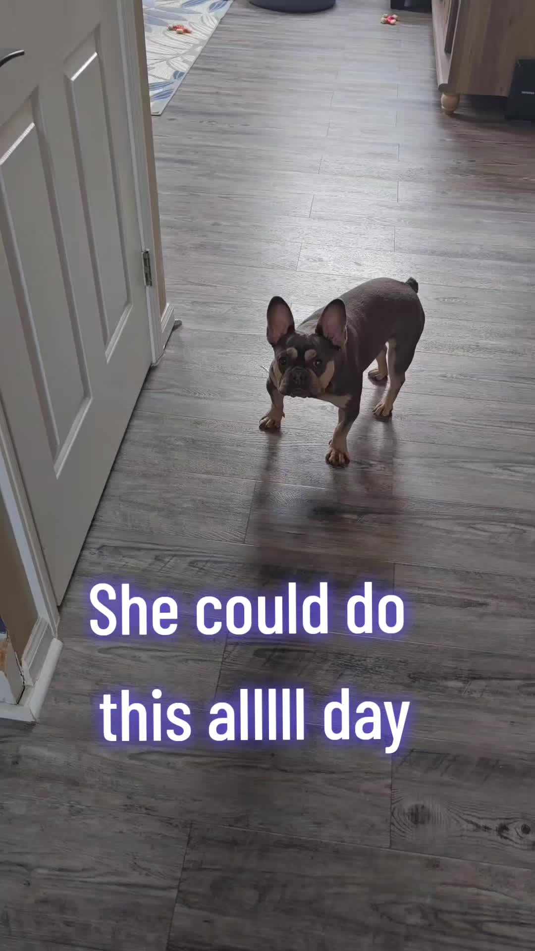 @Tina