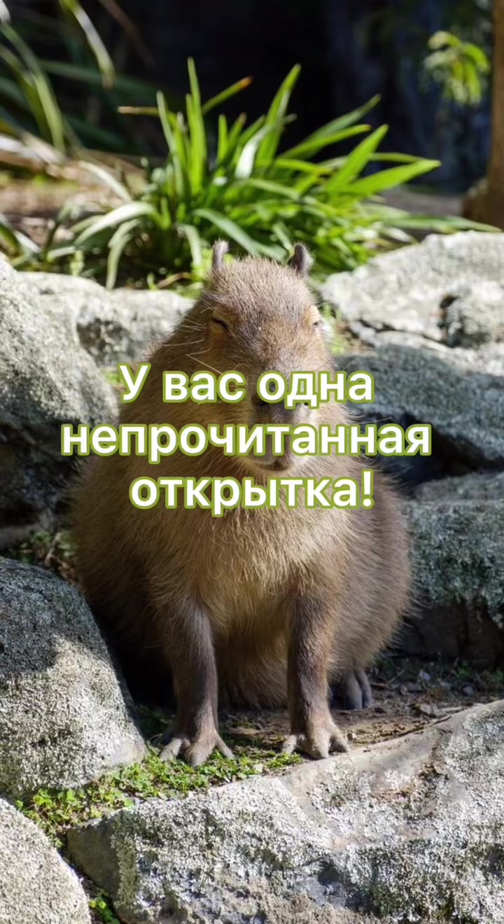 @GartonGatti