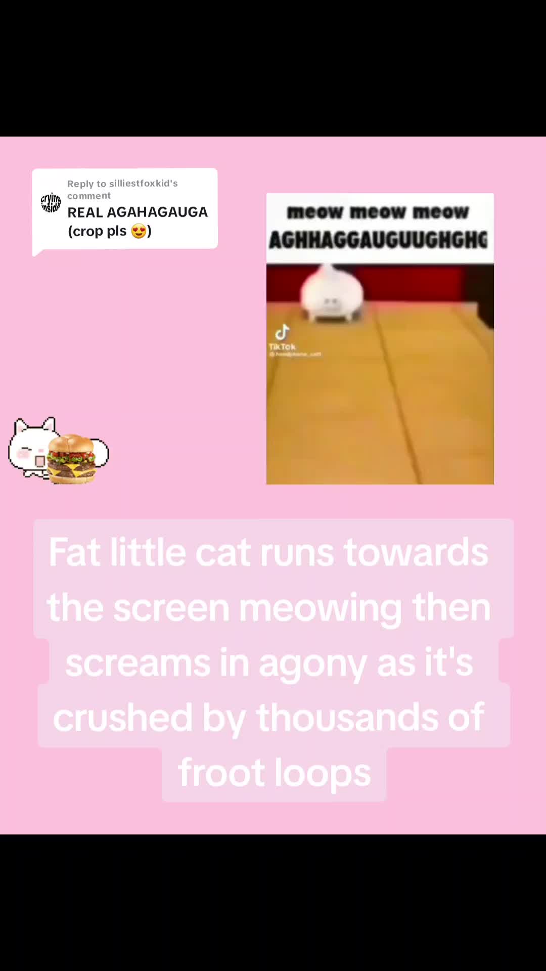 @Kitty <3