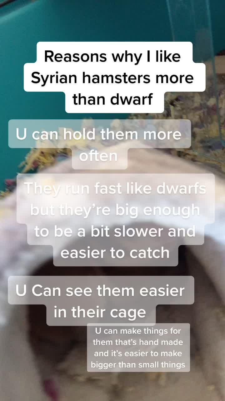 @pnutthehammyy