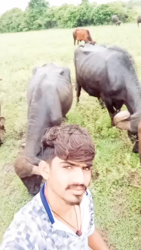 @Gadhavi raj