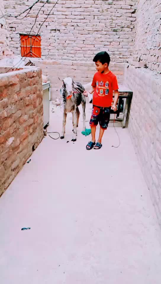 @wajii khan 0