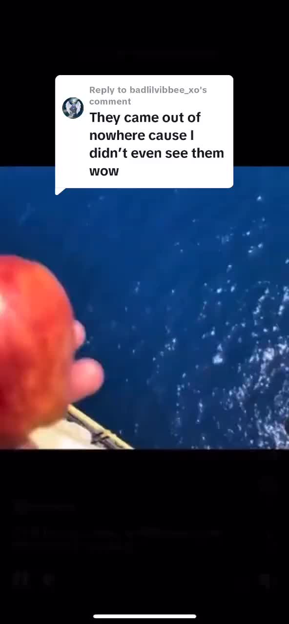 @Slothmymango
