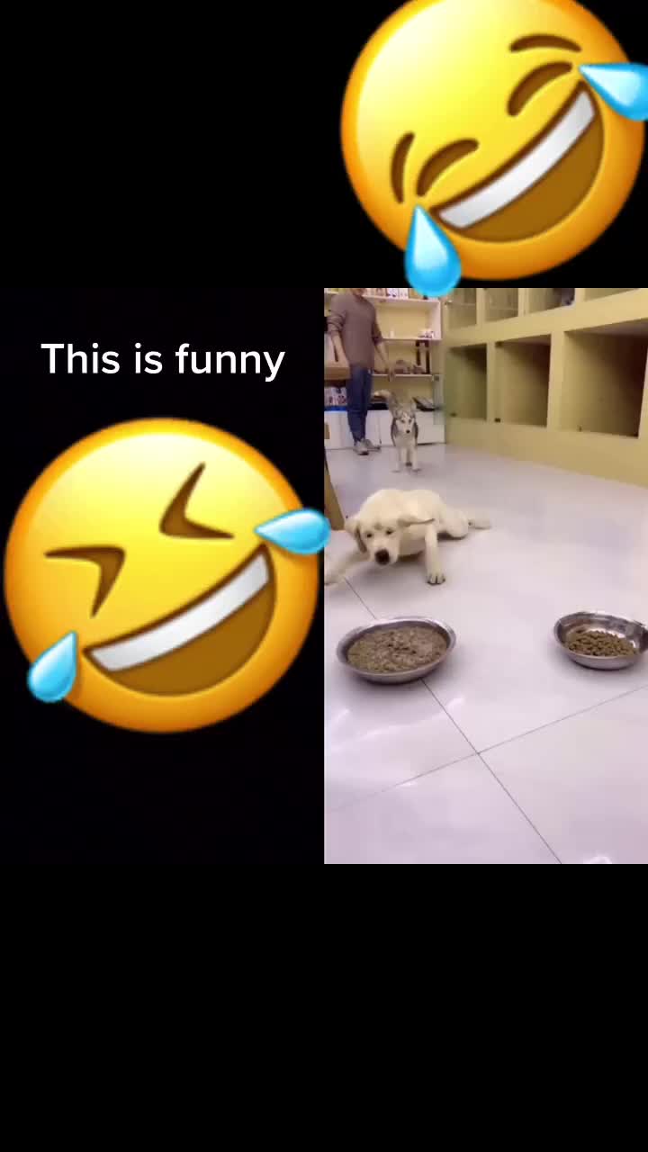 @SMILE TIME😁