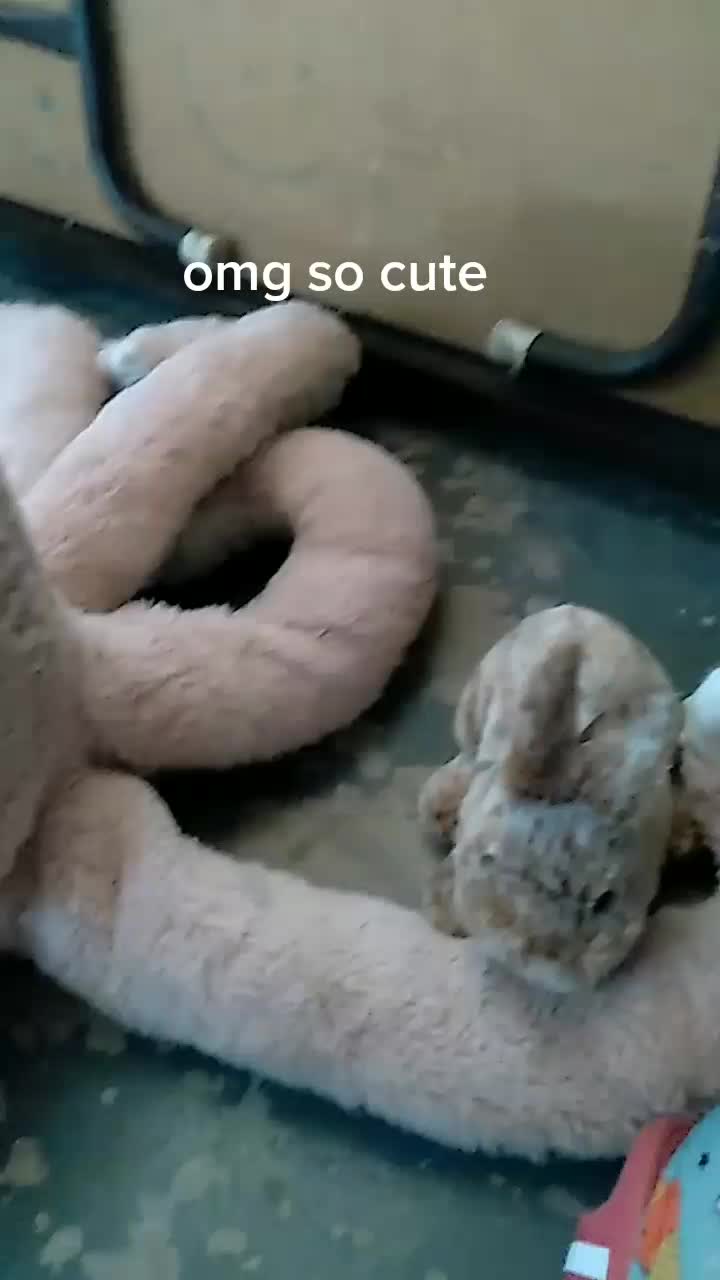 @gtg057