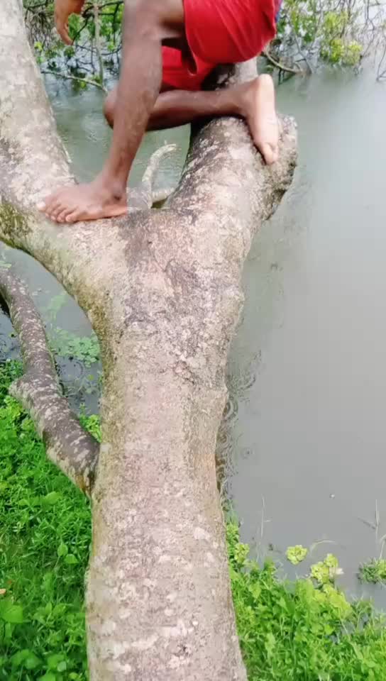 @🔥R bangla09🇮🇳