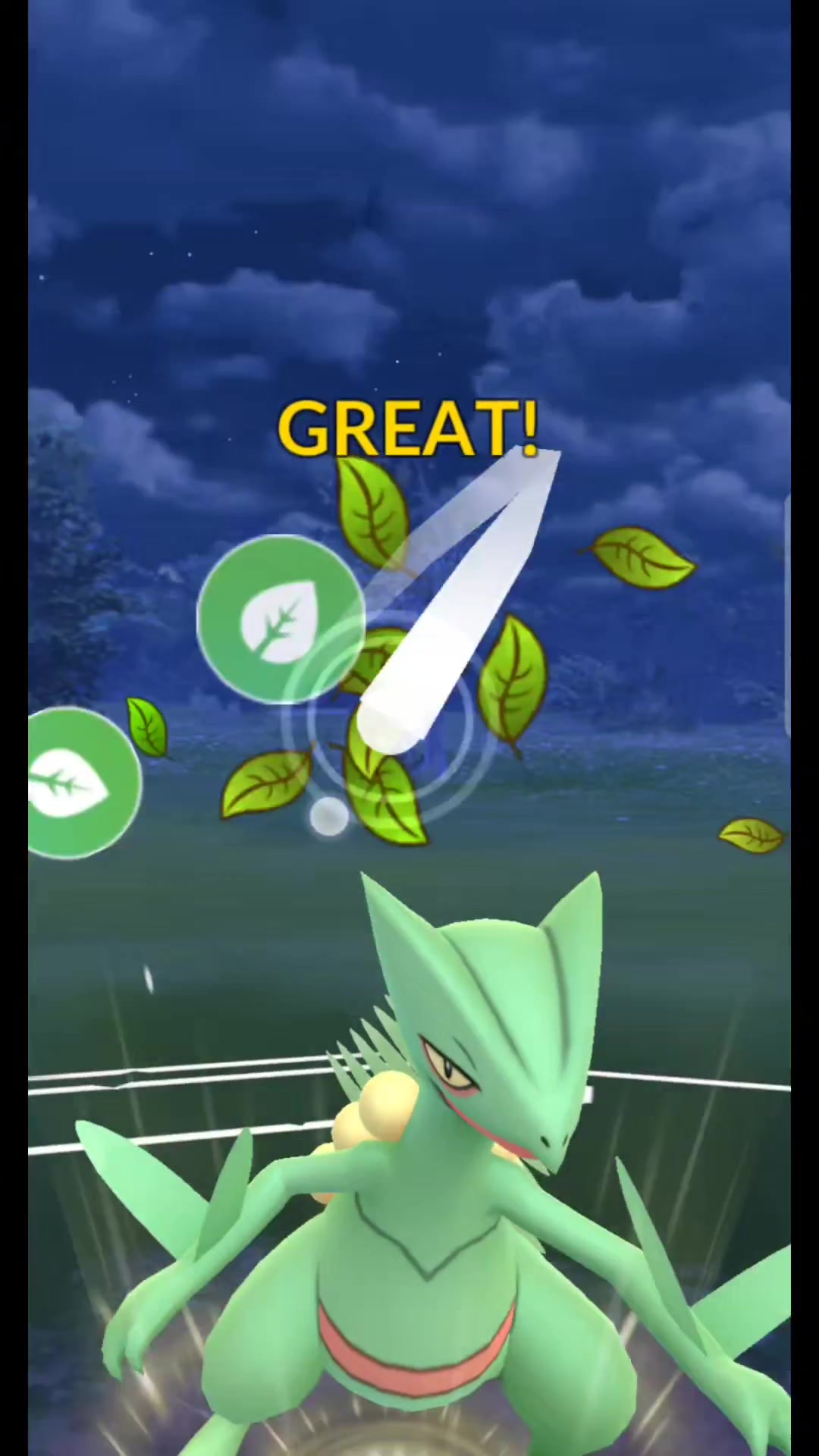 @Gengar_sweeping