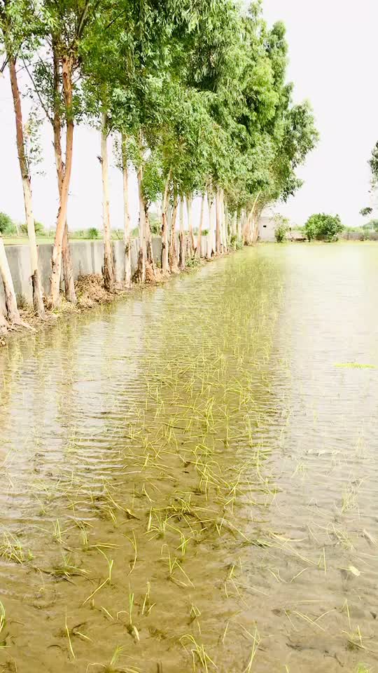 @Nagar Jds