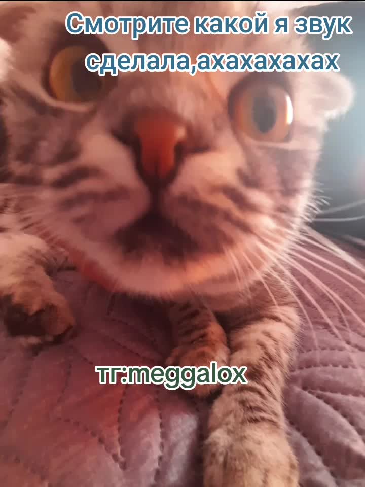 @#ультра лох