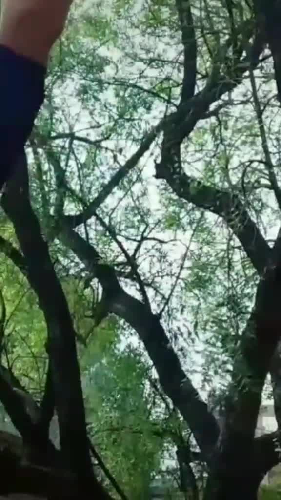 @user76314701689