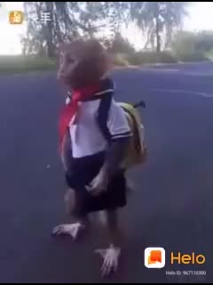 @tic tok merugu