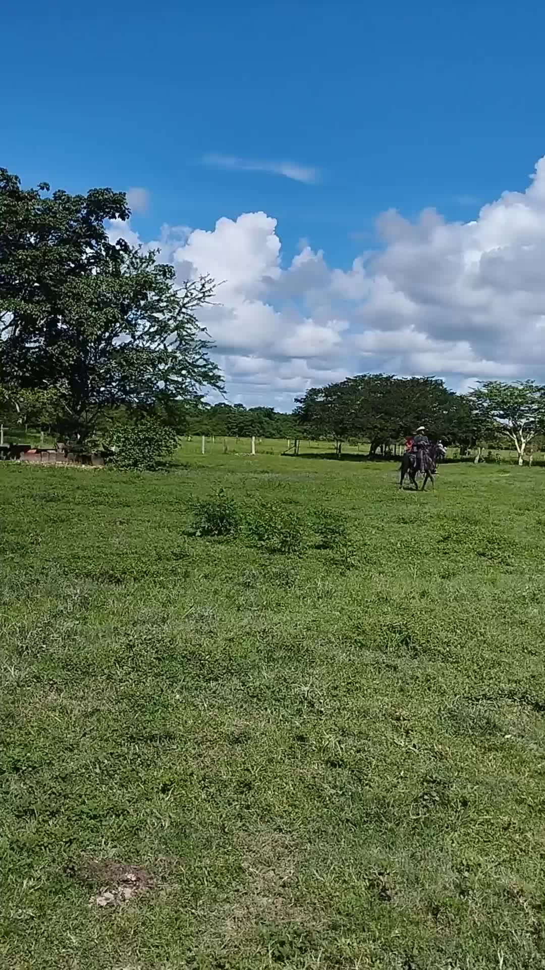 @Juan la garza