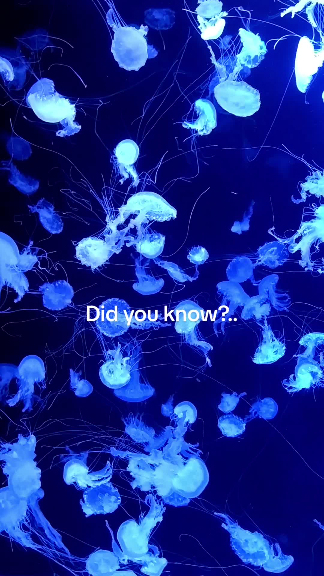 @did_y0ukn0w