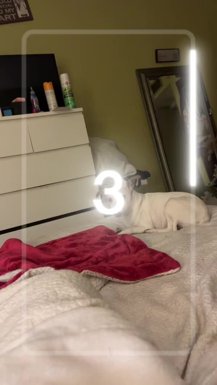 @marcepeluyale