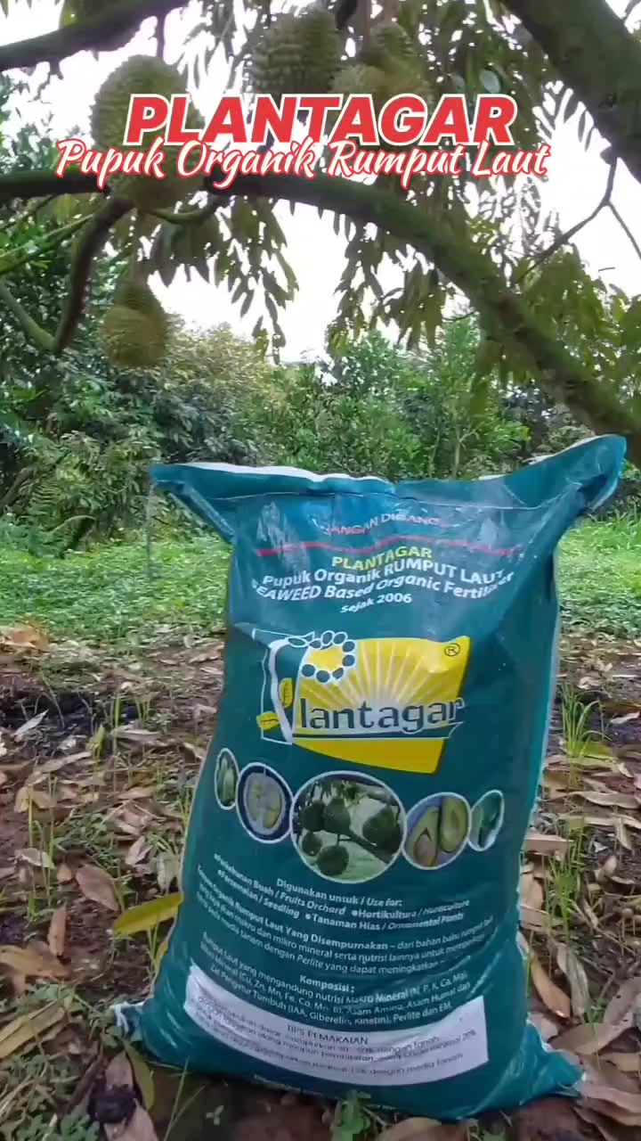 @WIN 22