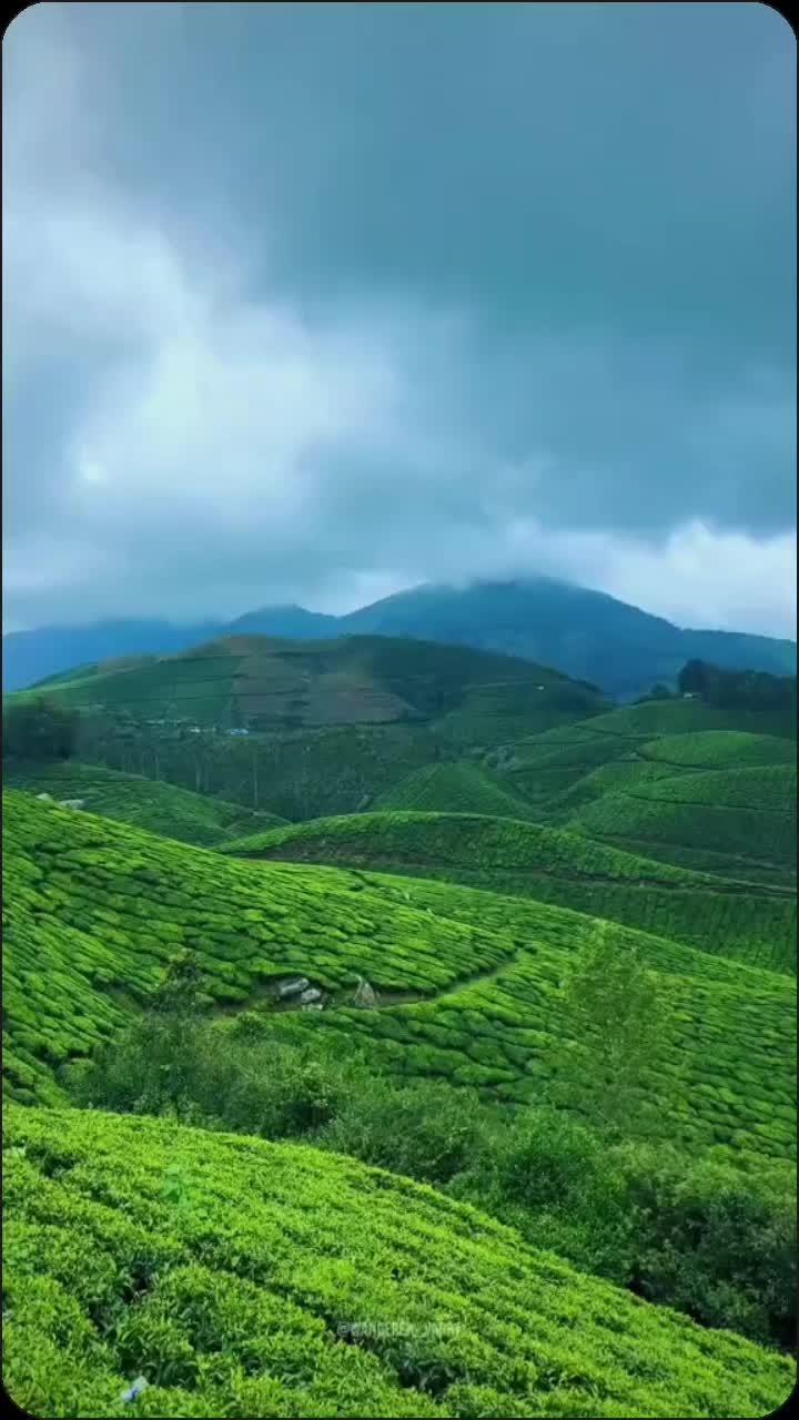 @DaughterOfSivasangaran✨.