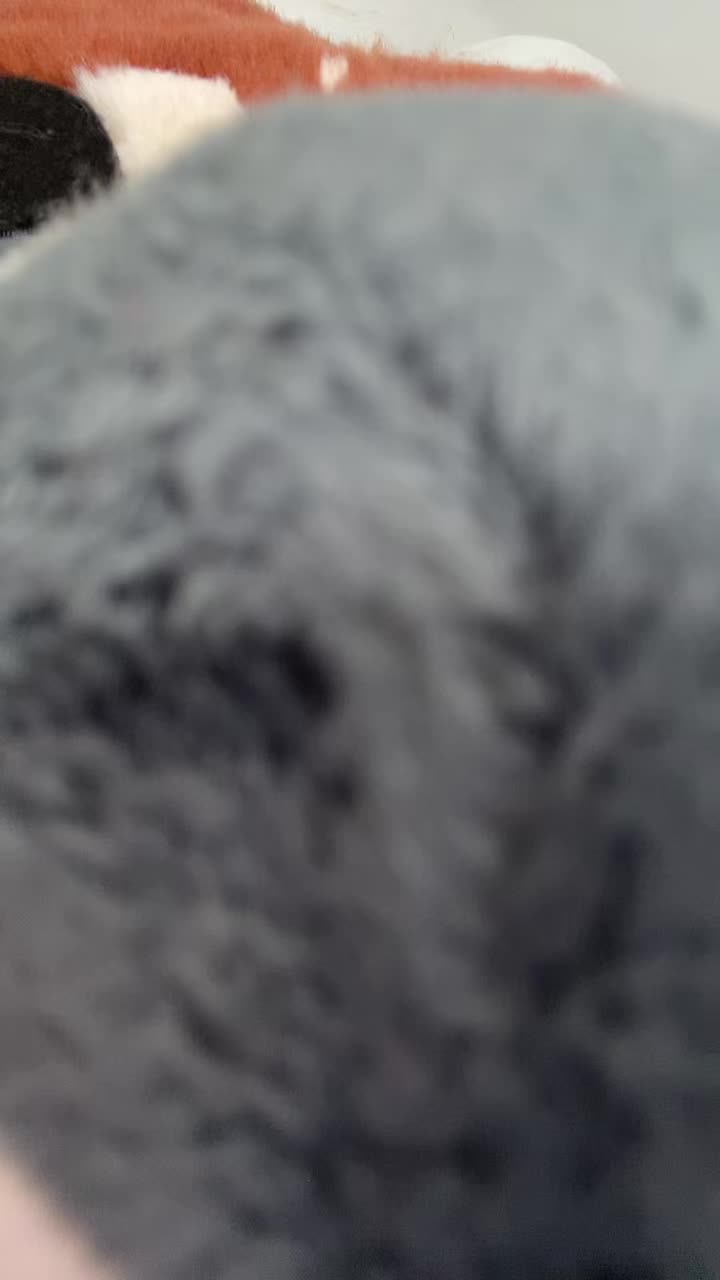 @go.catboy.go_piss