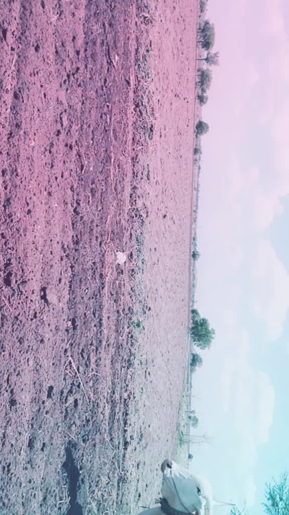 @BhimuNayak