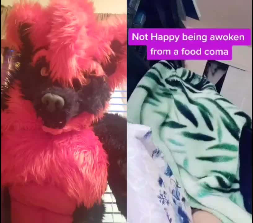 @Blaze Wolf