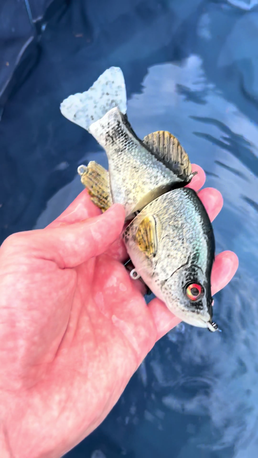 @grovesbaitco