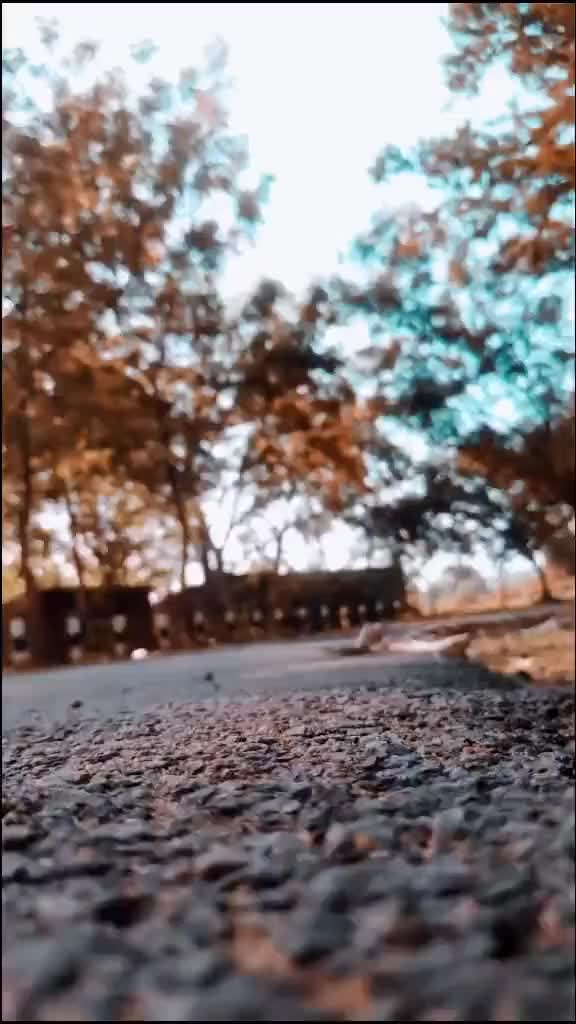 @@luxmahida