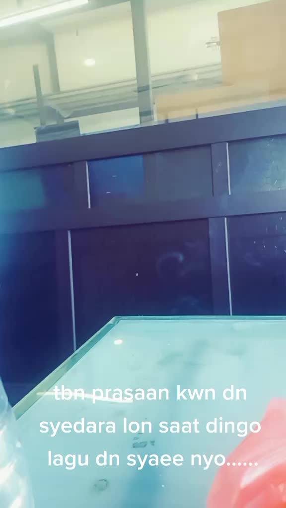 @reudoeck