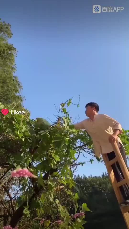 @HappyMonday668