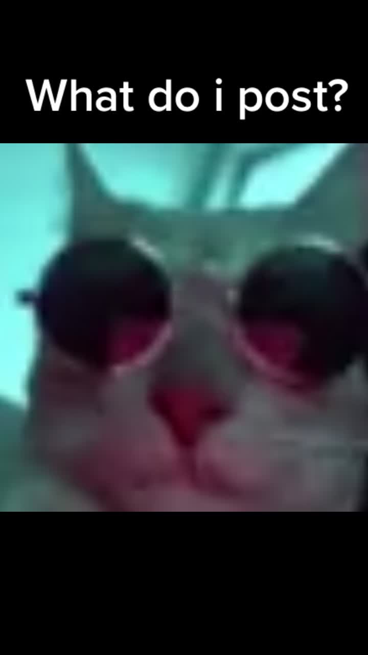 @WisdomCat