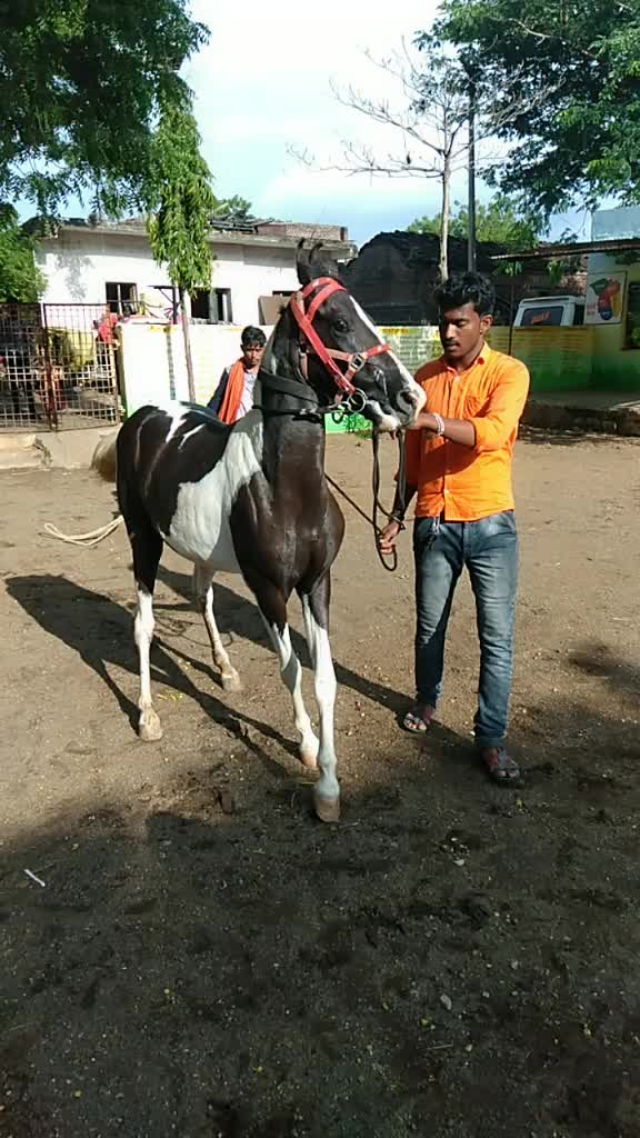 @Vijay pole