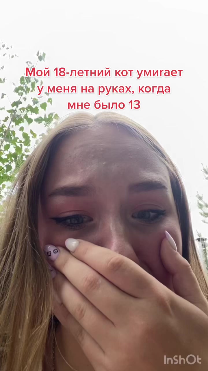 @Maria Vikulova