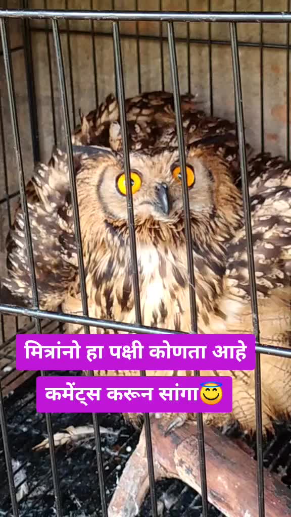 @Vilas Khandvi