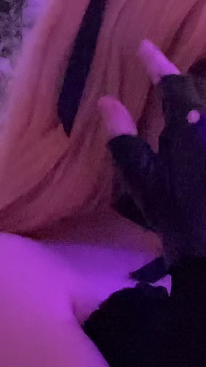 @Lucy ♪‧₊˚