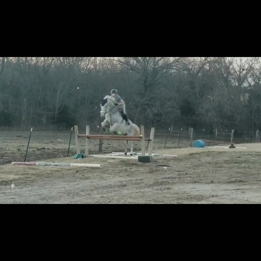 @TheHorseGallery
