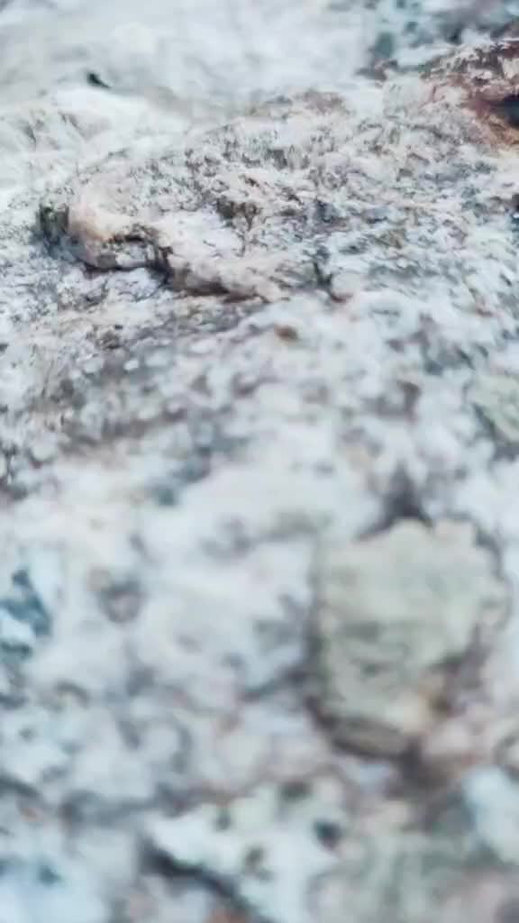 @user525196