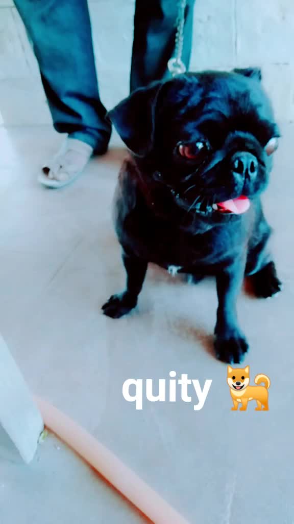 @teamrj😍😍😍22