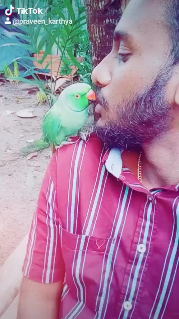 @പ്രവീൺ കാർത്യാ🔥