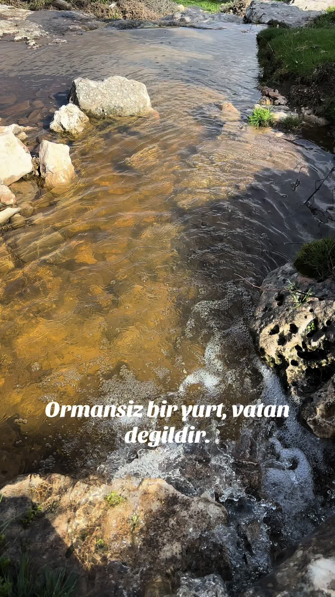 @Bilal Gilgil
