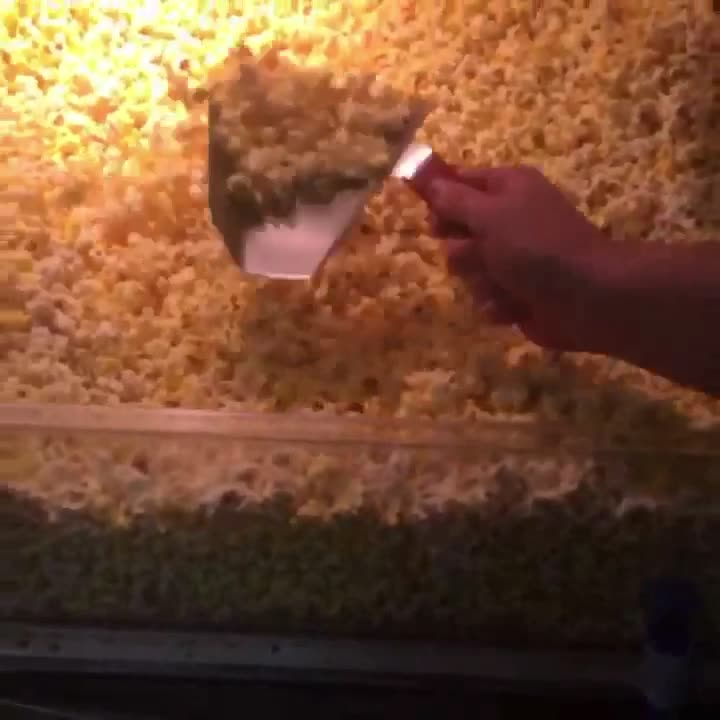 @Regal Cinemas