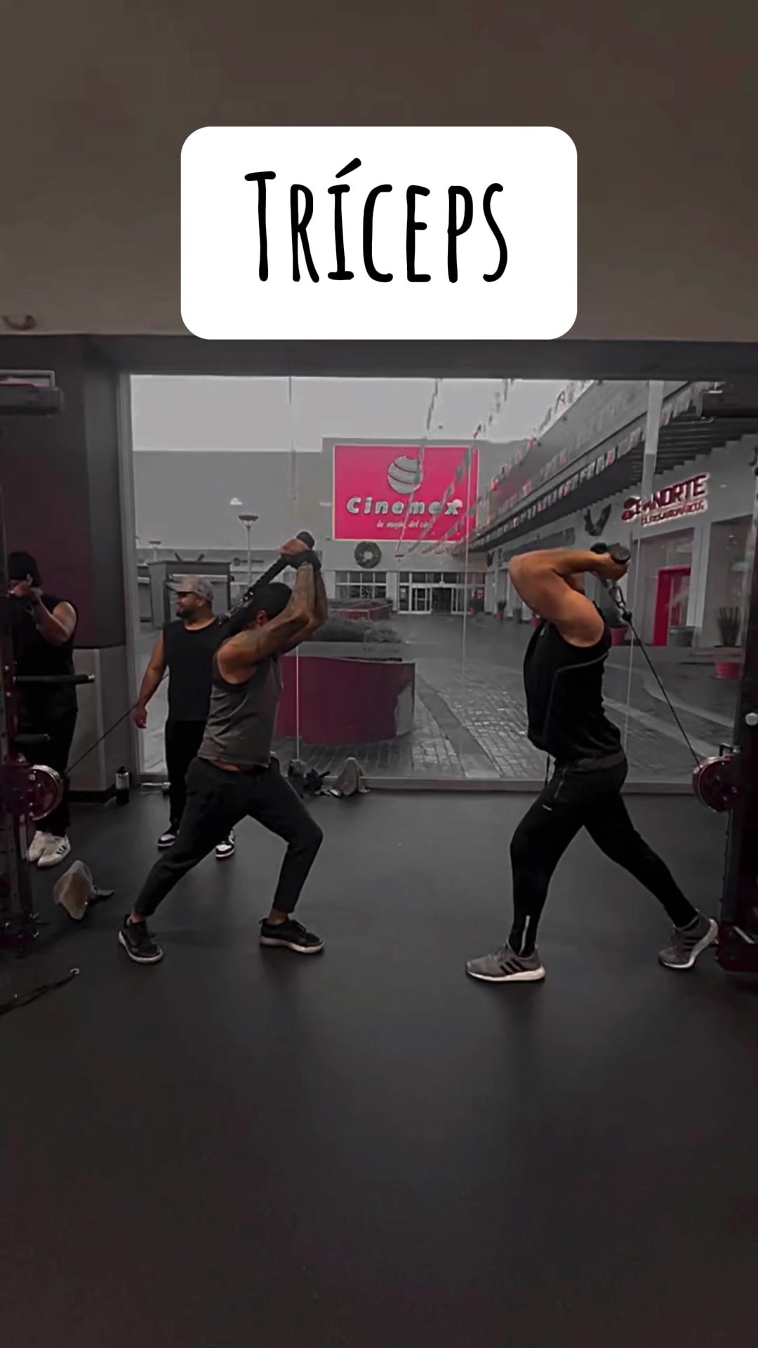 @Entrenando Gym